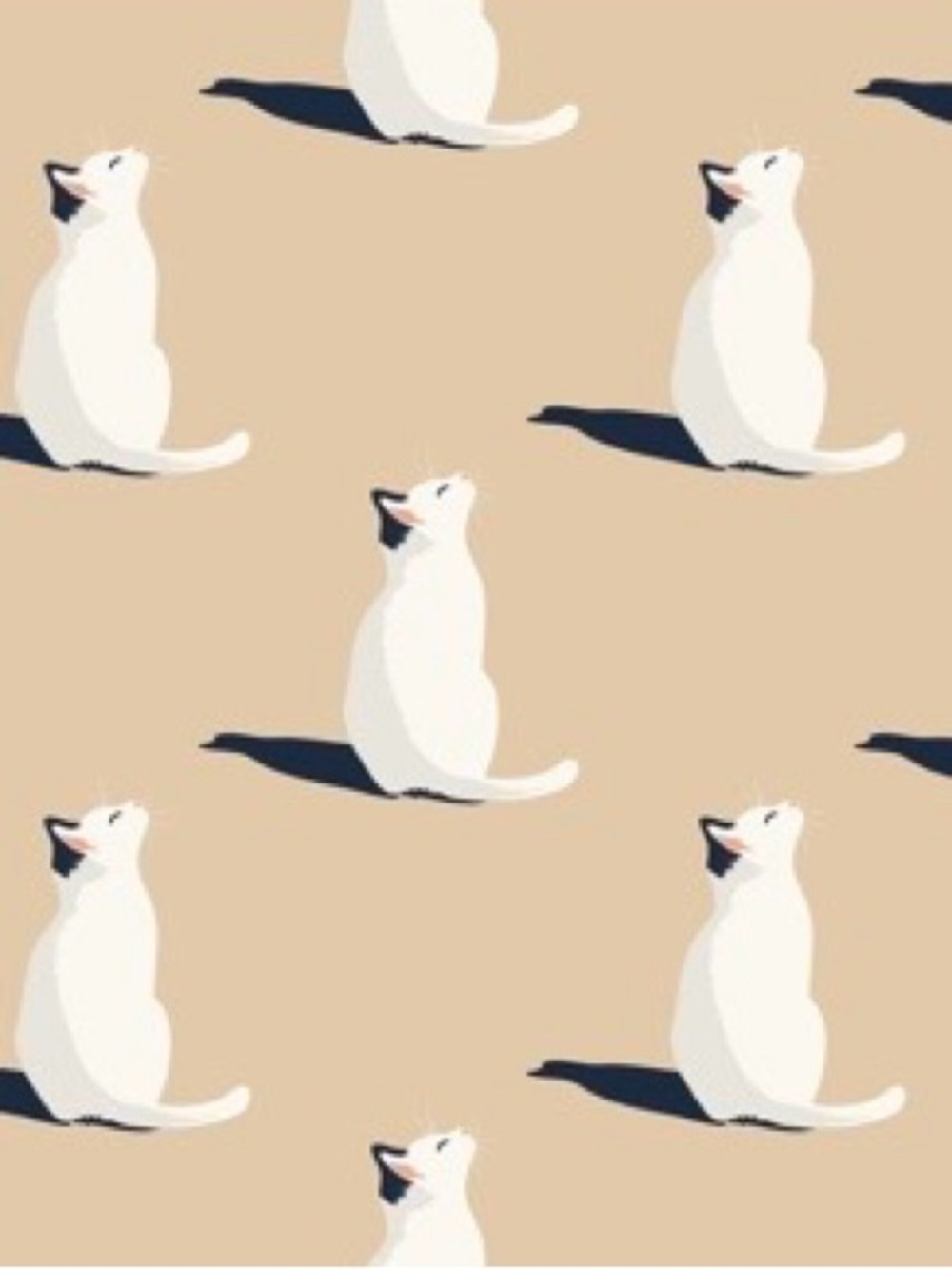 3 Rolls Removable Cat Wallpaper Peel & Stick New HaokHome